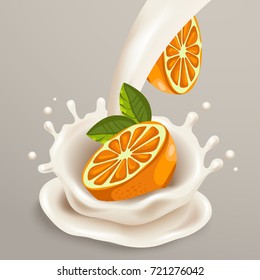 Milk Splash with Orange : Vector Illustration