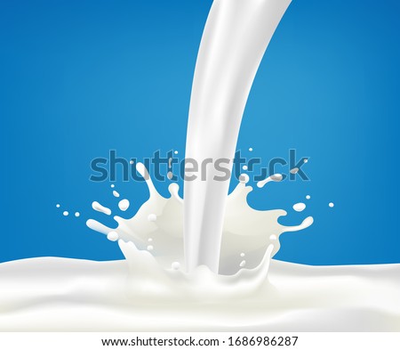 Milk splash and pouring, white splatter on blue background, Realistic healthy drink yogurt or cream motion. Vector