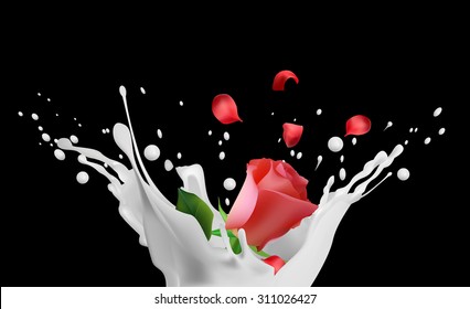 Milk splash with rose and petals on black background, vector illustration
