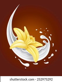 Milk Splash With Vanilla Flower On Chocolate Background