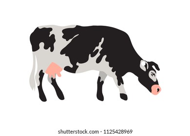 Milk spotted cow in black, white, gray, gold and pink. Agriculture, farming, village life. Pet. Vector illustration.