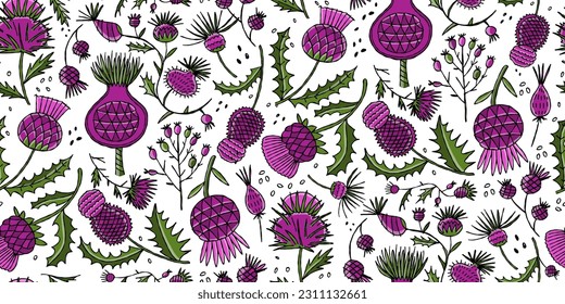Milk Thistle flowers. Silymarin. Vector botanical illustration. Seamless pattern for your design