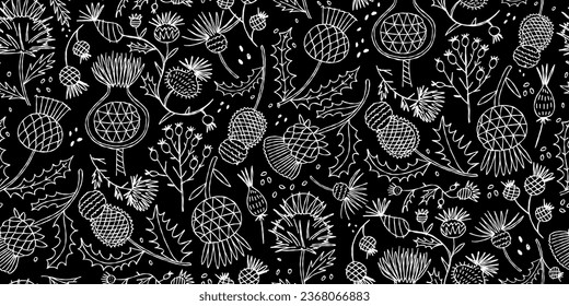 Milk Thistle flowers. Silymarin. Vector botanical illustration. Seamless pattern for your design