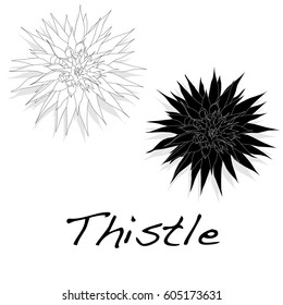 Milk Thistle Plant. Scotch Thistle. Vector Isolated.