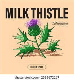 Milk Thistle Premium Vector Clipart High-Quality Illustration for Cooking Branding and Packaging