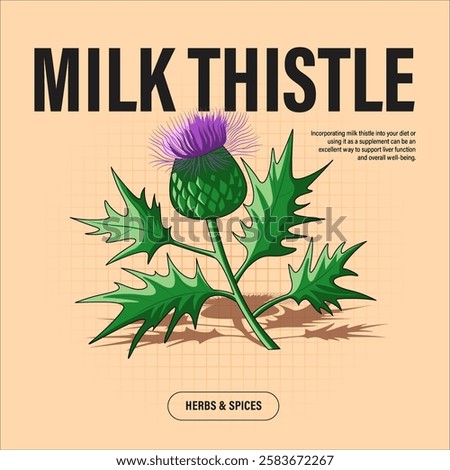 Milk Thistle Premium Vector Clipart High-Quality Illustration for Cooking Branding and Packaging