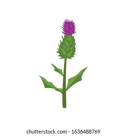 Milk Thistle Simple Illustration Clip Art Vector