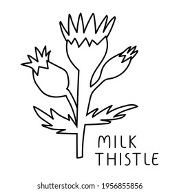 Milk Thistle. Vector Outline Icon Illustration On White Background.