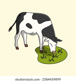 Milking cow standing eating grass