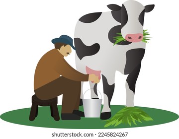 milking a cow vector illustration, cow milk and farmer, man feeding a cow and milking it, cow producing milk for sale and farm product. farm illustration concept