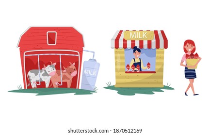 Milking Operation and Woman at Market Stall Selling Milk Vector Set