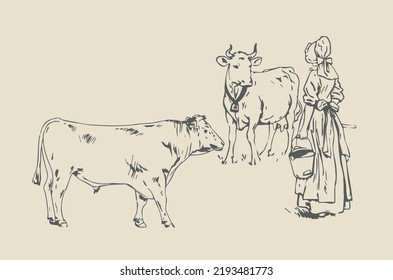 Milkmaid in medieval costume and 2 cows