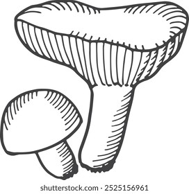 Milky cap fungus doodle. Woodland mushroom icon