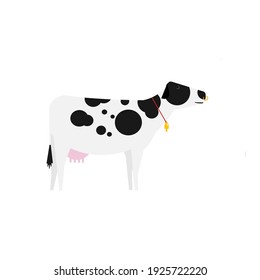 A milky cow on white background.