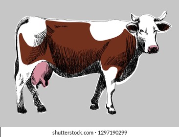 milky, red, spotted cow