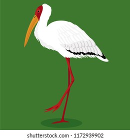 Milky Stork Cartoon Bird