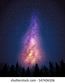 Milky way in the night sky and pine-trees - vector illustration.