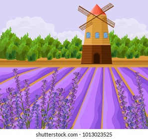 Mill and Lavender fields background Vector. Vintage Province flat style templates