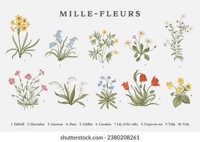 Millefleurs. Set. Vintage vector botanical illustration. 