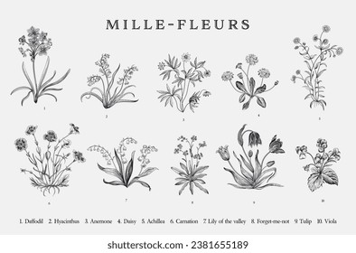 Millefleurs. Set. Vintage vector botanical illustration. Black and white