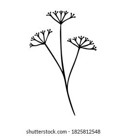 Millefolium, achillea Umriss handgezeichnet. Kräuter doodle botanische Symbol für Logo. Kräuterpflanzen und Wiesenpflanzen, Gras. Moderner, einfacher Stil. Vektorgrafik einzeln auf weißem Hintergrund.