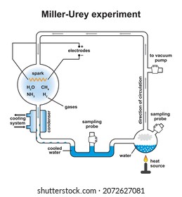 Miller Urey Experiment. Colorful Symbols. Vector Illustration.