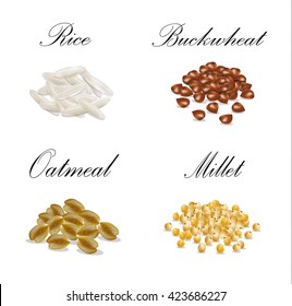 Millet, buckwheat, oatmeal, millet set illustration vector. grain vector illustration of grain, millet sketch, sketch buckwheat, rice sketch
