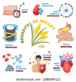 Millet Health Benefits, Icons Set. Cereals For Wellness, Lower Cholesterol, Aids In Digestion, Healthy Heart, Immunity, Weightloss. Advertisement Flier Of Healthy Eating Store, Vector Illustration.