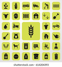 millet icon. agriculture set. vector sign symbol on white background