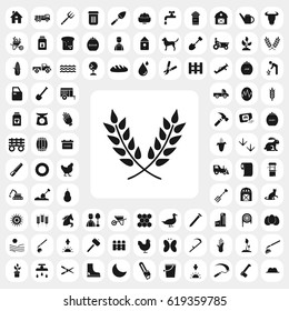 millet icon. agriculture set. vector sign symbol on white background