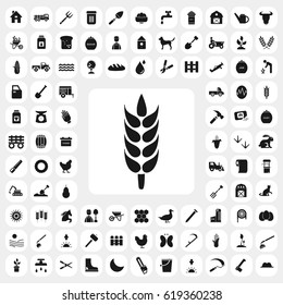 millet icon. agriculture set. vector sign symbol on white background