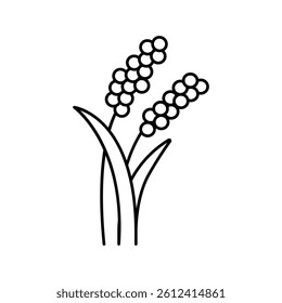 millet plant food line icon vector. millet plant food sign. isolated contour symbol black illustration