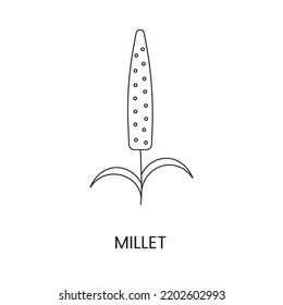 Millet or proso line icon in vector, illustration of a cereal plant.