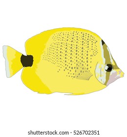Milletseed Butterflyfish Vector Illustration