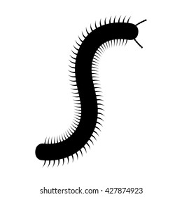 Millipede flat vector icon for nature apps and websites