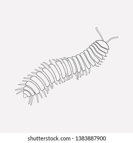 Millipede icon line element. Vector illustration of millipede icon line isolated on clean background for your web mobile app logo design.