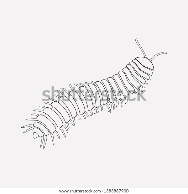 Millipede Icon Line Element Vector Illustration Stock Vector (Royalty ...