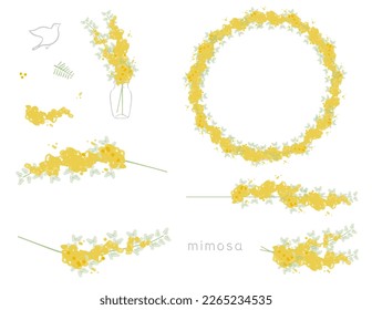 Mimosa (acacia) vector illustration design parts set (frame, flower, leaf)