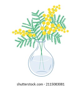 Mimosa branch in a glass vase illustration. Spring vector mimosa  flowers