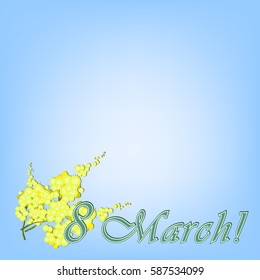 mimosa branch on a blue background, vector illustration