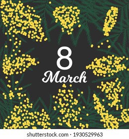 mimosa branches isolated on a black background. March 8. holiday banner