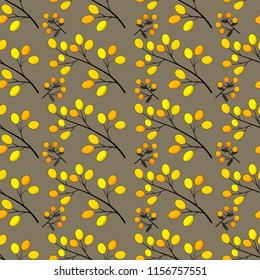 Mimosa branches on brown background