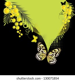 mimosa with butterfly
