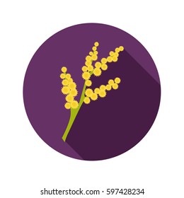 Mimosa color flat icon for web and mobile design