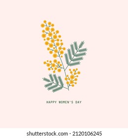 Mimosa flower branch illustration. Spring holiday symbol. Vector illustration.