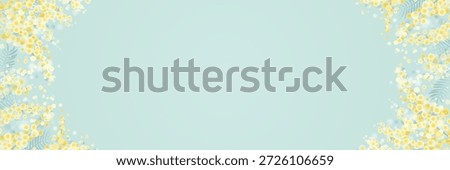 Mimosa Flower Horizontal Frame Background for Spring Design