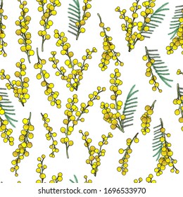 Mimosa-Blumenmuster, Mimosa-Blumenanordnung, dekoratives Design, Vektorillustration-Illustration