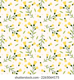 Mimosa flower vector. illustration isolated on white background. Yellow flower.