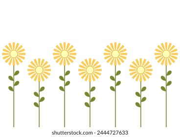 Mimosa flower vector. illustration isolated on white background. Yellow flower.