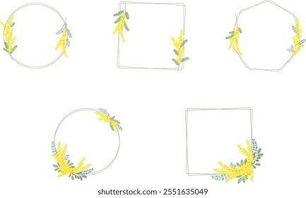 Mimosa flower vector material illustration